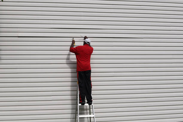 Best Siding Painting and Refinishing  in Coon Rapids, MN